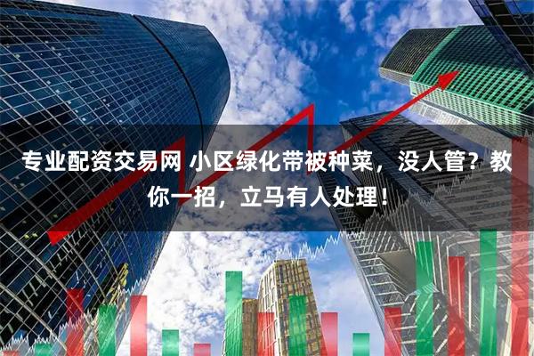 专业配资交易网 小区绿化带被种菜，没人管？教你一招，立马有人处理！